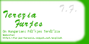 terezia furjes business card
